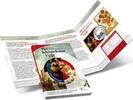 5 euro Schilderkunst 5 euro 2011 herdenkingsmunt zilver -