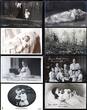 Deutschland - Preussischer Adel 1909/17 ca. Kronprinz Wilhelm und Cecilie mit ihren Kinder auf 46 s/w - Ansichtskarten (*) ungebraucht