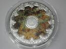 FRANKREICH 250 Euro 2025 250 Euro Silber 1/2 Kg coloriert 2025 Palais Ga... 2595,00 EUR  + 90,00 EUR frais d'envoi
