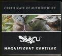 Kongo, Republique Democratique du Congo 4 x 30 Francs CFA Silbermünze 2013 Magnificent Reptiles - Prächtige Reptilien (m. Farbapplikation) BU in capsule, certificate, orig. packaging