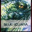 Niue 2 Dollars Silbermünze 2012 Blue Iguana (1 oz, m. Farbauflage) patinated in capsule, coa, orig. packaging