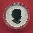 Kanada 10 Dollars Silbermünze 2013 Jahr des Drachens - Lunar unc in capsule w. certificate, orig. packaging