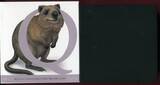 Australien 1 Dollar Silbermünze teilcoloriert 2015 Alphabet-Collection - Buchstabe Q / Letter Q - Quokka BU in capsule w. certificate, orig. packaging