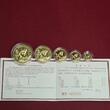 China Peoples Republic PRC Panda Satz Gold 1990 P 59,04 g Gold 5 Münzen Proof with Box COA Carton