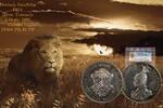 German East Africa DOA Deutsch Ostafrika Rupie Sehr Selten in PP, RR ! Rare in Proof and Key Date, First year of Mintage -
