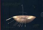 Irland 1,88 Irische Pfund The Broighter Boat -