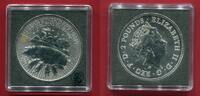 Großbritannien 2 Pfund Silbermünze Year of the Pig - Privy Mark W16 -