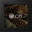 5 Dollars LEOPARD Barre De Luxe 0.5 g Gold Coin 5$ Cook Islands 2026 FB