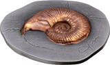 5 Dollars AMMONITE Fossil 3D 2 Oz Silver Coin 5$ Niue 2026 FB