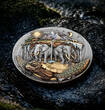 5 Dollars AKUPARA The World 2 Oz Silver Coin 5$ Niue 2026 Antique Finish