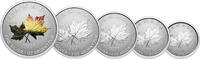 Canada 1 Dollar - 5 Dollars MAPLE LEAF Set 5x Silver Coin Canada 2027 -