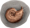 Niue 5 Dollars AMMONITE Fossil 3D 2 Oz Silver Coin 5$ Niue 2026 -