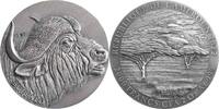 Cameroon 2000 Francs BUFFALO Expressions of Wildlife 2 Oz Silver Coin 2000 Francs Cameroon 2022 -