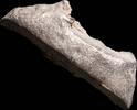 Roman Republic Awesome Ancient Silver Precoin, Ingot Shape - 29 mm / 7.57 gr. -