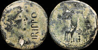 IBERIAN PUNIC REPUBLICAN Ancient Hispania - Irippo, Dos Hermanas (Sevilla) Ae Semis - 26 mm / 8.03 gr. -