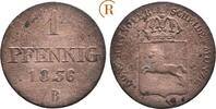 Braunschweig Calenberg Hannover: 1 Pfennig Wilhelm IV, 1830-1837: -