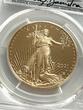 The United States of America  2021-W $50 Gold Eagle - Type 2 Advanced Release Emily S. Damstra, DCAM PR70DCAM