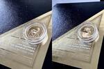 Südafrika 10 Rand 2017 South Africa – Natura – 2017 – Springbok – 1/10oz... 600,00 EUR  + 50,00 EUR frais d'envoi