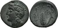 Lucania, Metapontion Bronze -