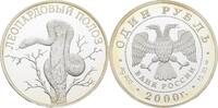 1 Rubel 2000 Russland Leopardnatter offen, Kontaktmarken, polierte Platte