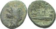 Phoenicia Aradus Bronze -
