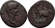 Phönikien Berytos Bronze DIVUS Augustus -