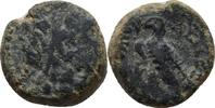 Ptolemaic Kings Zypern, Paphos Bronze Ptolemy VIII Euergetes (145-116 BC) -