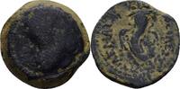 Ptolemaic Kings Zypern, Paphos Bronze Ptolemy XII Neos Dionysos (Auletes). 80-58 ? -
