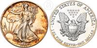 USA 1 Dollar 1 Unze Silber American Eagle - Vereinigte Staaten von Amerika 1 oz Silber -