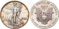 USA 1 Dollar 1 Unze Silber American Eagle - Vereinigte Staaten von Amerika 1 oz Silber -