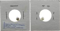 USA Nugget Goldnugget - Feather River California -