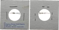 USA Nugget Goldnugget - Feather River California -