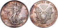 USA 1 Dollar 1 Unze Silber American Eagle - Vereinigte Staaten von Amerika 1 oz Silber -