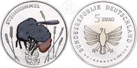 Deutschland BRD 5 Euro 5 € Gedenkmünze - Steinhummel (Farbdruck) -