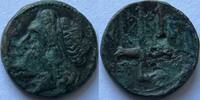 Greek States (Sicily) ae bronze Syracuse (Hieron II 275-215 BC) -