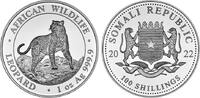 Somalia 100 Shillings Somalia -