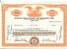 USA 100 Shares Bradford Speed Packaging and Development Corp. 1963, Aktie Wertpapier -