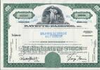 USA 100 Shares Rayette-Faberge, Inc. Aktie Wertpapier -