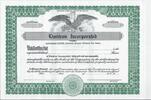 USA Limitron Incorporated, Aktie Wertpapier -