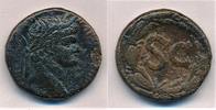 Syrien Seleucis & Pieria Antioch Domitianus Lorbeerkranz -