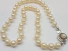 Kurze Akoya Perlenkette Perlencollier Perle 835 er Silber Verschluß L: 38 cm -