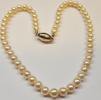 Akoya Perlenkette Perlencollier Perle 925 er Silber Verschluß Magnetverschluß -