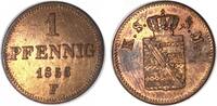 Altdeutschland/ Sachsen-Albertinische Linie 1 Pfennig Johann -