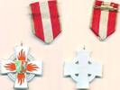 Deutschland Abzeichen Nordrhein-Westfalen, NRW, Feuerwehr - Ehrenzeichen -
