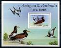 Briefmarken Barbuda 1987 Vögel Wasservögel Birds Oiseaux Uccello Block 122 Postfrisch MNH -