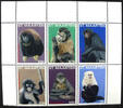 Briefmarken St. Maarten Affen Monkeys Tiere Animals Postfrisch MNH -