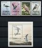 Briefmarken Barbuda 1980 Vögel Water Birds Uccelli Oiseaux 520-523 Block 54 MNH -