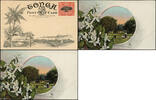 Briefmarken Tonga Bildpostkarte in Farbe Ganzsache Orange Groves Ungebraucht / 704 -