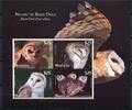 Briefmarken Niuafo'ou Eulen Owls Vögel Birds Block 44 Postfrisch MNH -