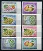 Briefmarken Afghanistan 1962 Roter Halbmond Früchte Pflanze Plants 685-692 B ungezähnt MNH -
